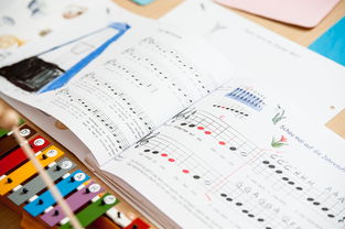 爱游戏官方-中小学体育课安全教育实施现状研究，体育课堂安全背景下的小学体育课现状