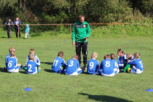 爱游戏体育app-国足对不同战术体系适应能力评估，国足体能与技术分析